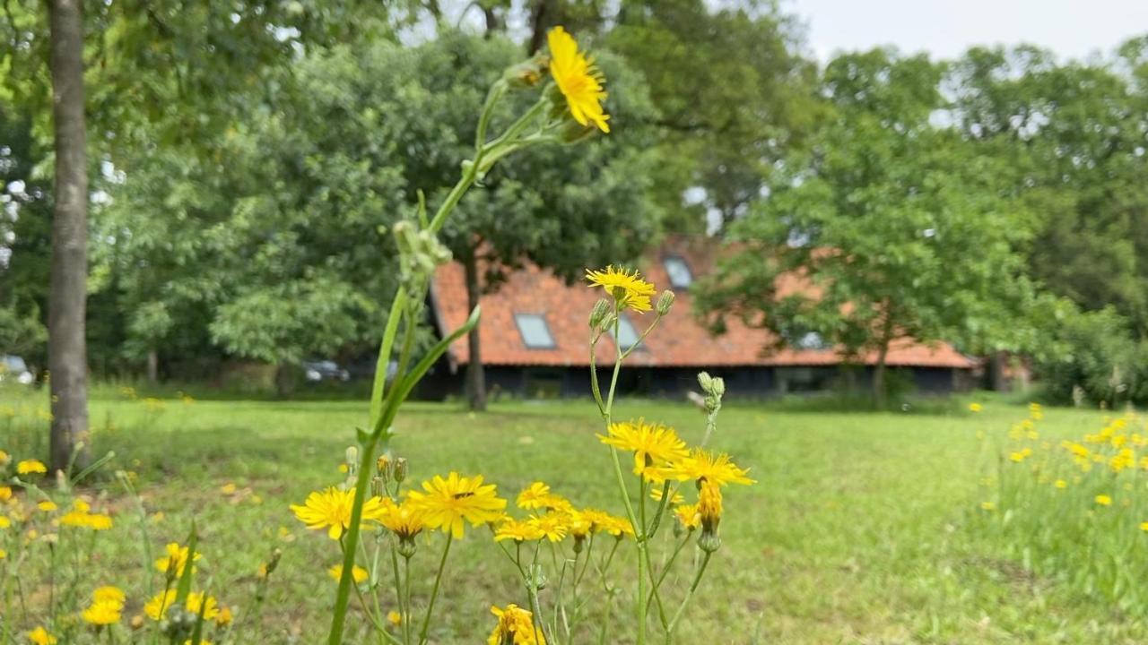 Op 'T Oorbeck Bed & Breakfast Enschede Exterior foto